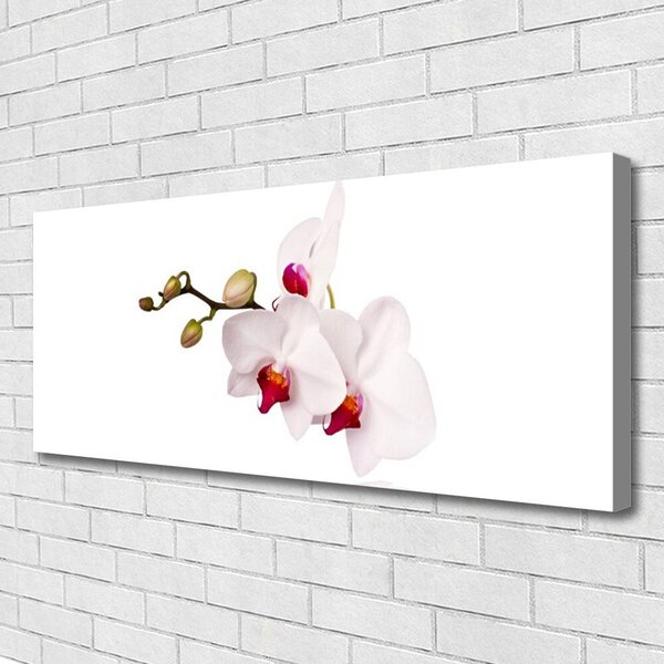 Tablou pe panza canvas Flori Floral Roz Alb