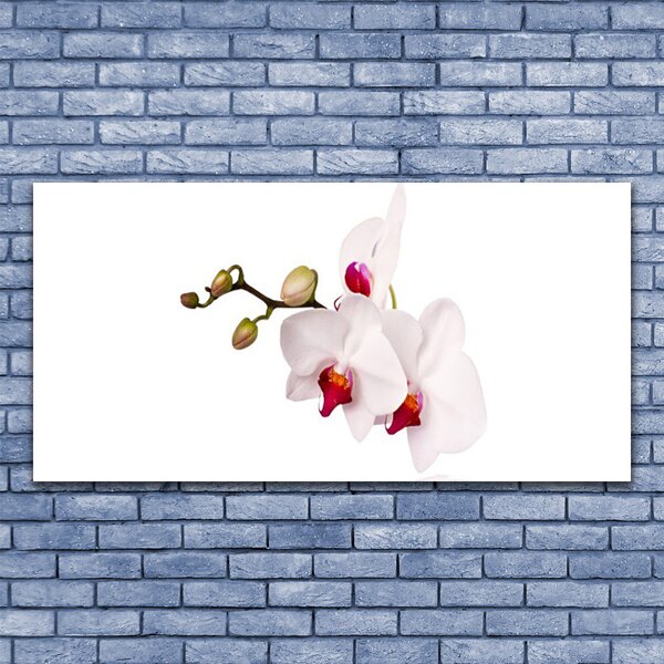 Tablou pe panza canvas Flori Floral Roz Alb