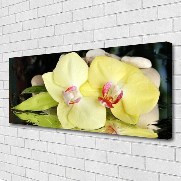 Tablou pe panza canvas Petal Floral Verde