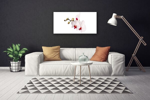 Tablou pe panza canvas Flori Floral Roz Alb
