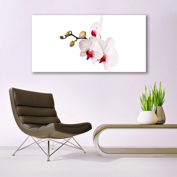 Tablou pe panza canvas Flori Floral Roz Alb