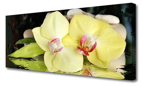 Tablou pe panza canvas Petal Floral Verde