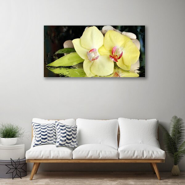 Tablou pe panza canvas Petal Floral Verde