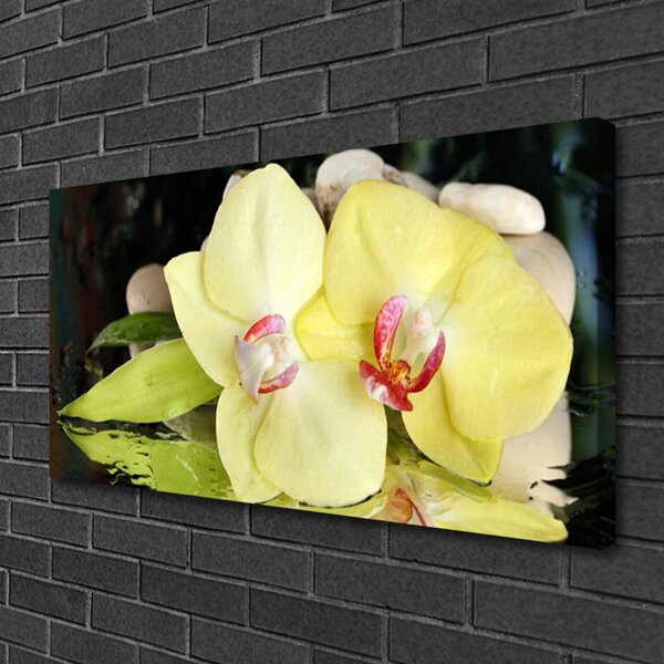 Tablou pe panza canvas Petal Floral Verde