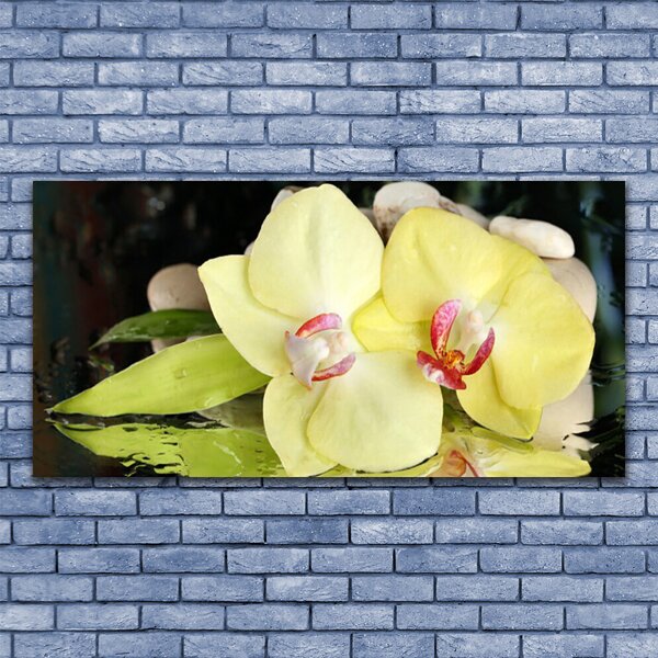 Tablou pe panza canvas Petal Floral Verde