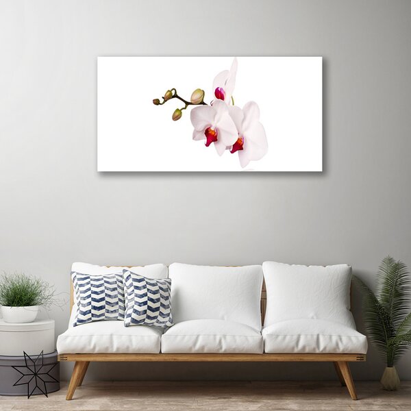 Tablou pe panza canvas Flori Floral Roz Alb
