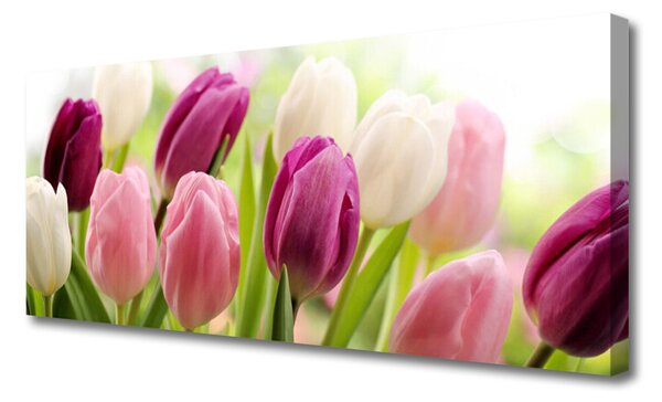 Tablou pe panza canvas Lalele Floral Alb Roșu Roz