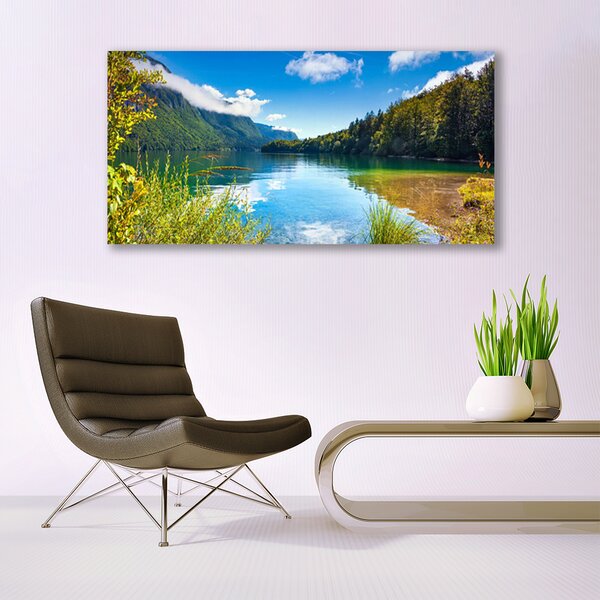 Tablou pe sticla Mountain Lake Forest Natura Verde Albastru