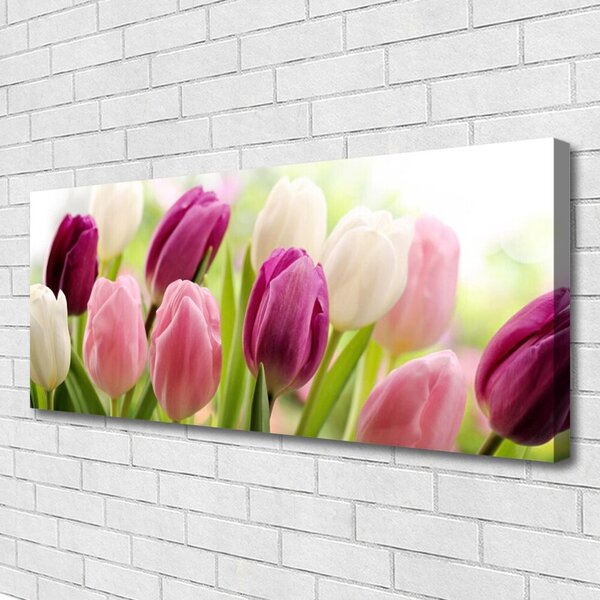 Tablou pe panza canvas Lalele Floral Alb Roșu Roz