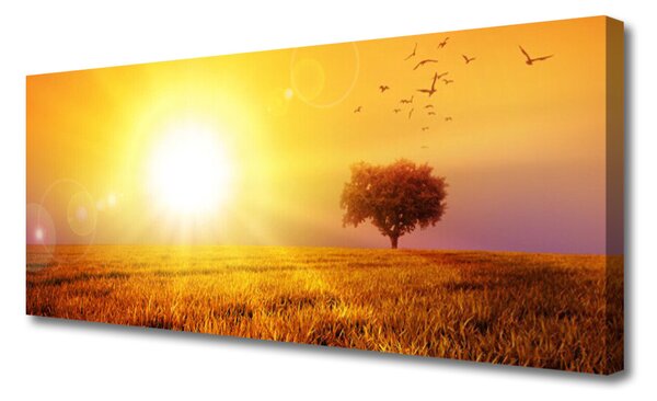 Tablou pe panza canvas Sun Meadow Peisaj Galben Maro