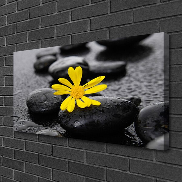 Tablou pe panza canvas Pietrele de flori Arta Galben Negru