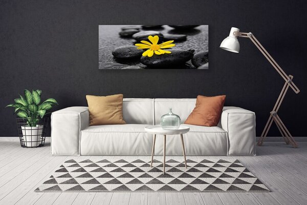 Tablou pe panza canvas Pietrele de flori Arta Galben Negru