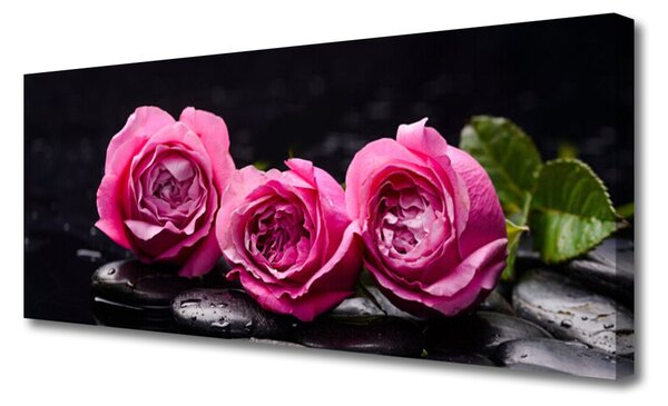 Tablou pe panza canvas Trandafiri pietre Floral Rosu Negru