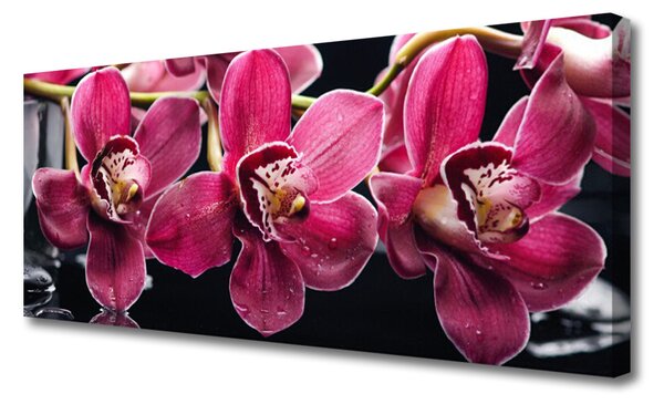 Tablou pe panza canvas Flori Floral Roșu