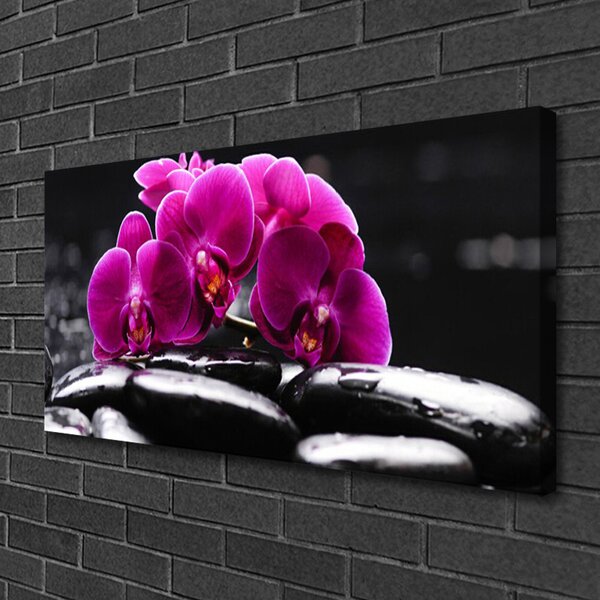 Tablou pe panza canvas Pietrele florale flori Roșu Negru