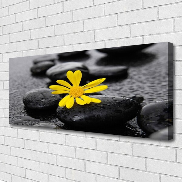 Tablou pe panza canvas Pietrele de flori Arta Galben Negru