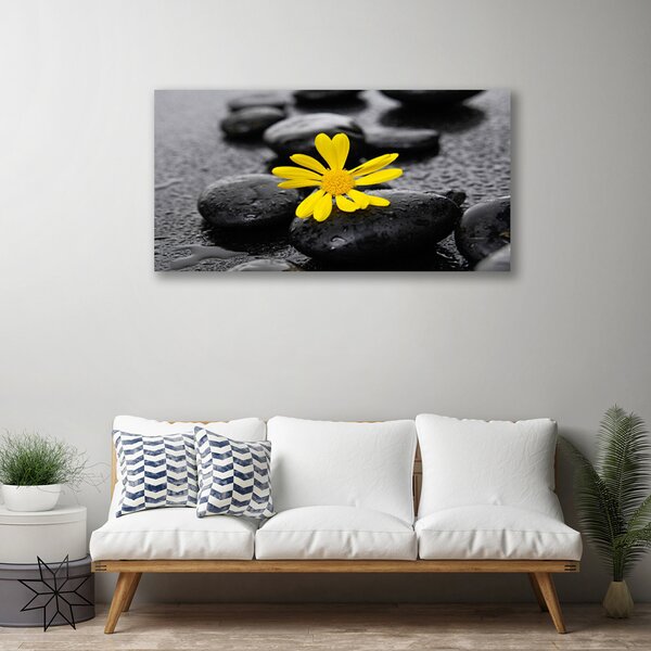 Tablou pe panza canvas Pietrele de flori Arta Galben Negru