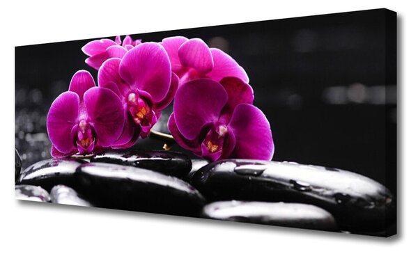 Tablou pe panza canvas Pietrele florale flori Roșu Negru