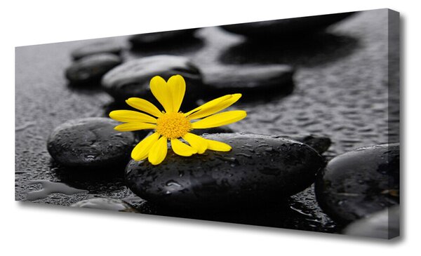 Tablou pe panza canvas Pietrele de flori Arta Galben Negru