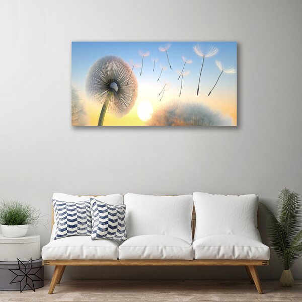 Tablou pe panza canvas Păpădie Floral Alb Gri