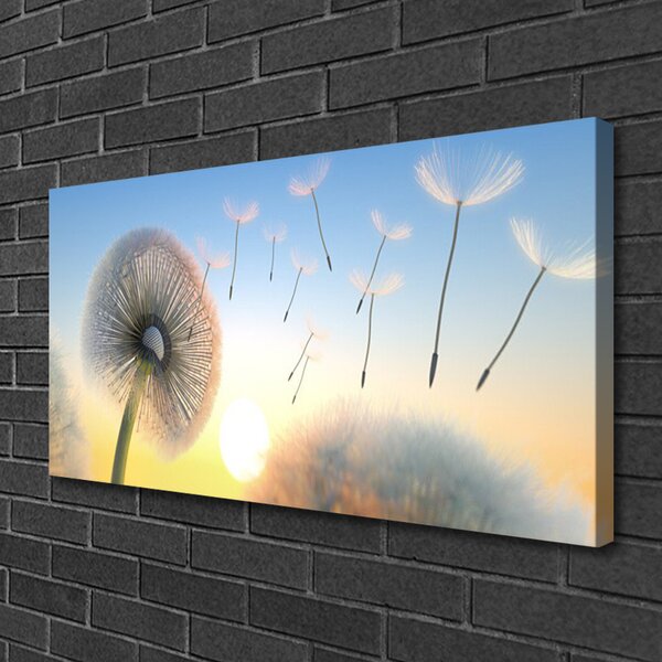 Tablou pe panza canvas Păpădie Floral Alb Gri