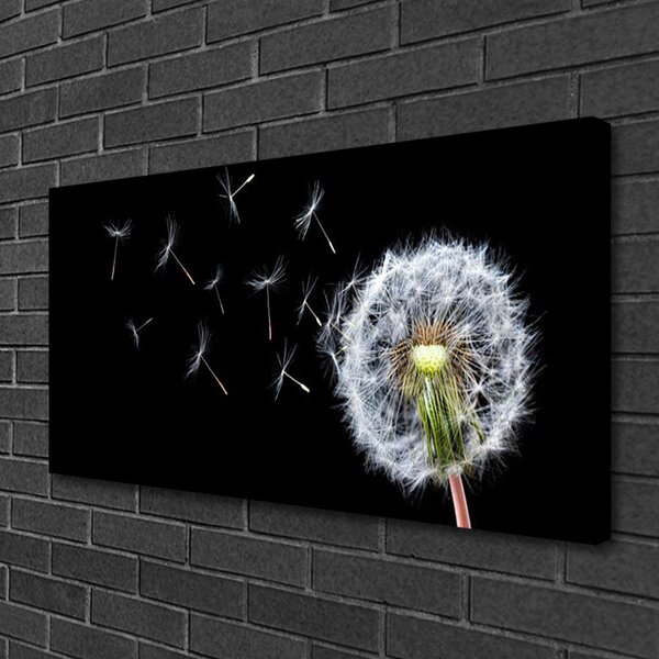 Tablou pe panza canvas Păpădie Floral Alb
