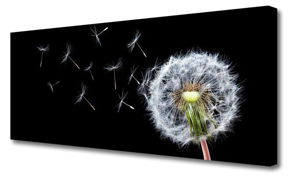Tablou pe panza canvas Păpădie Floral Alb