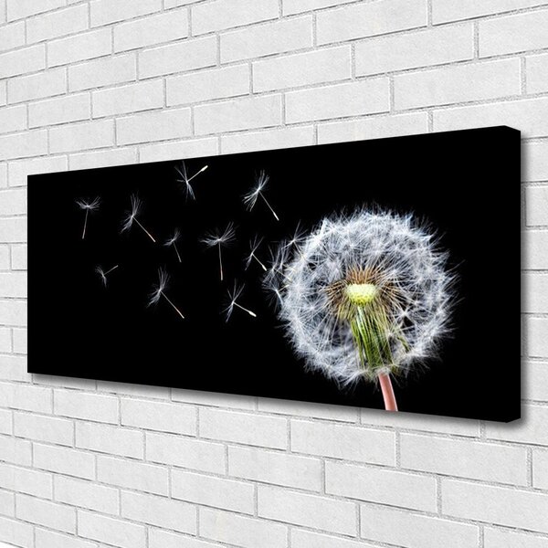 Tablou pe panza canvas Păpădie Floral Alb