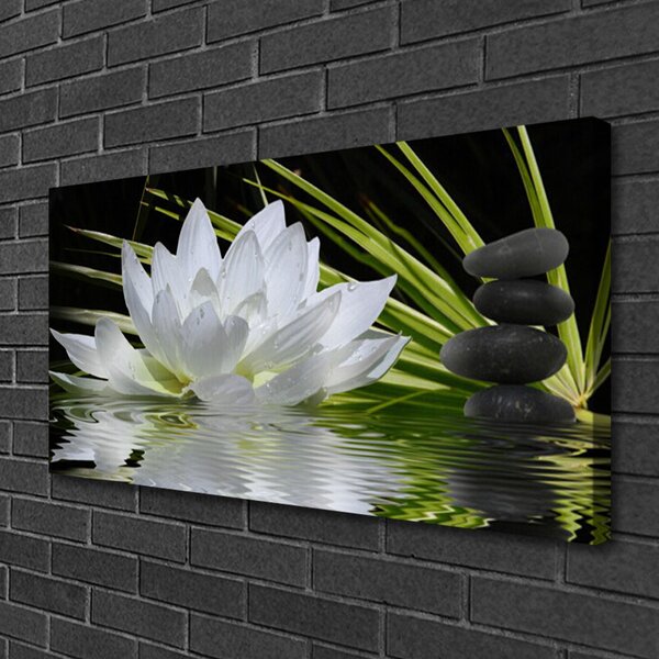 Tablou pe panza canvas Pietrele de flori Apă Floral Alb Negru