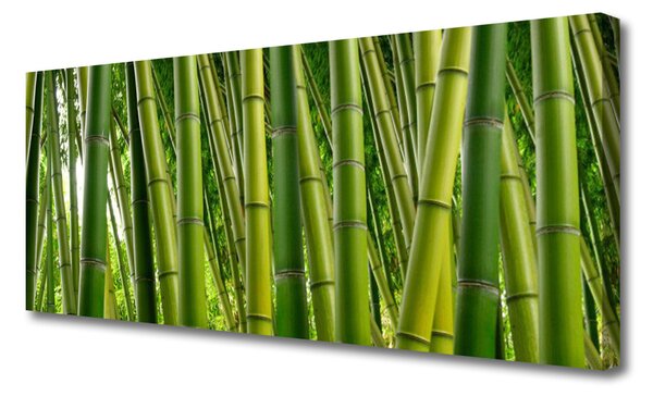 Tablou pe panza canvas Bamboo Tulpini Floral Verde