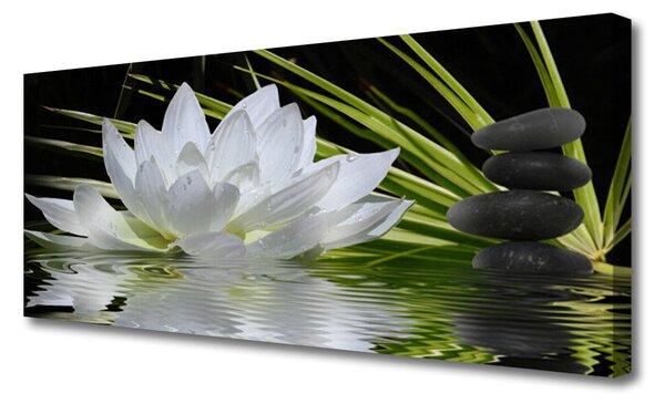 Tablou pe panza canvas Pietrele de flori Apă Floral Alb Negru
