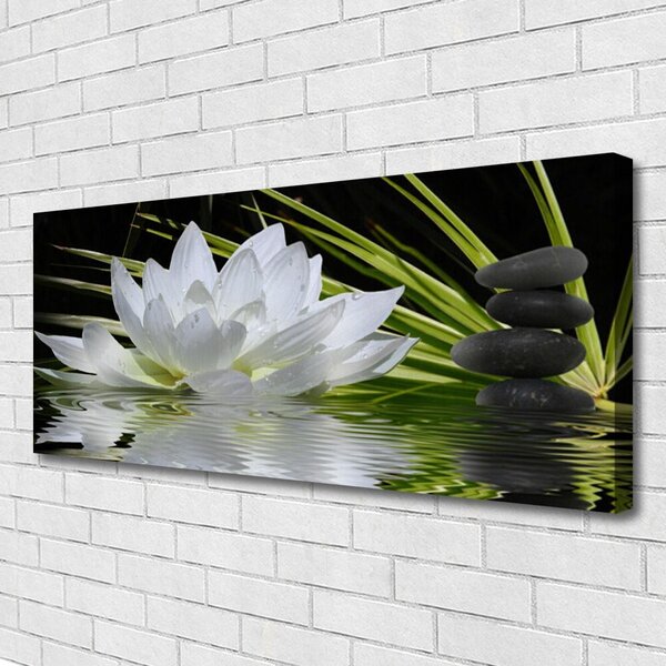 Tablou pe panza canvas Pietrele de flori Apă Floral Alb Negru