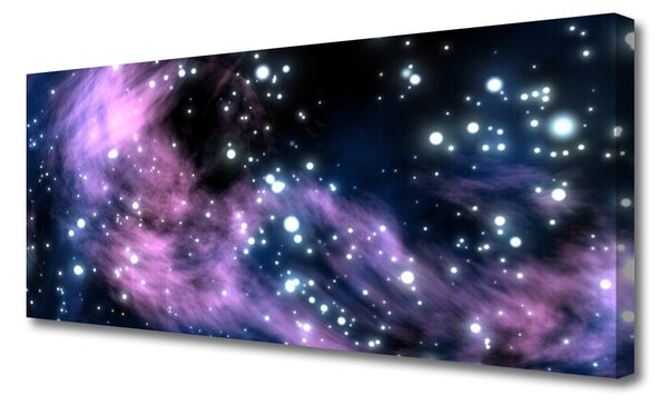 Tablou pe panza canvas Abstract Art Negru Albastru Violet Roz