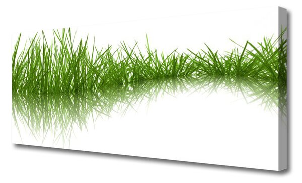 Tablou pe panza canvas Iarbă Natura verde