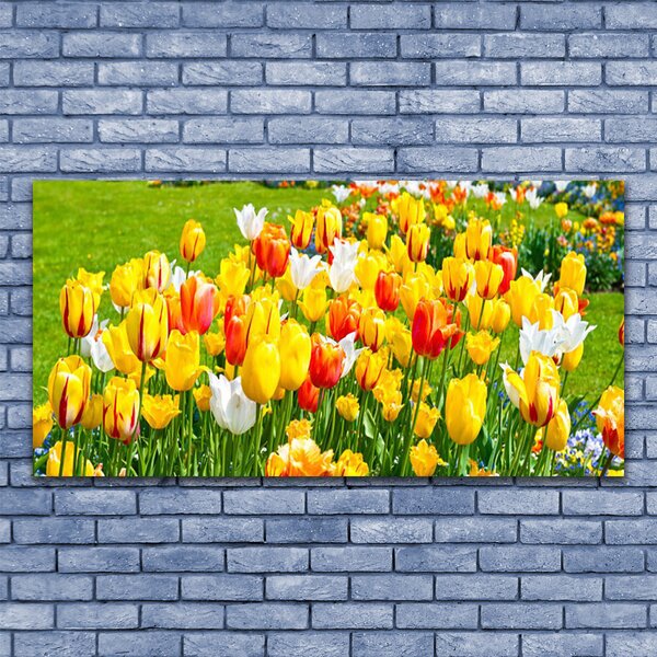 Tablou pe panza canvas Lalele Floral Galben Roșu Alb