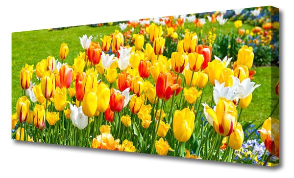 Tablou pe panza canvas Lalele Floral Galben Roșu Alb