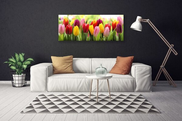 Tablou pe panza canvas Lalele Floral Roz Roșu Galben
