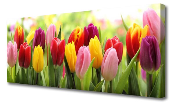 Tablou pe panza canvas Lalele Floral Roz Roșu Galben