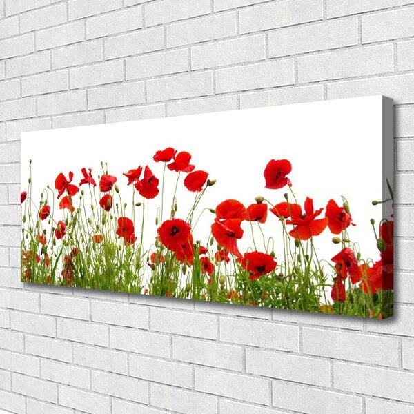 Tablou pe panza canvas Maci Floral Roșu Verde