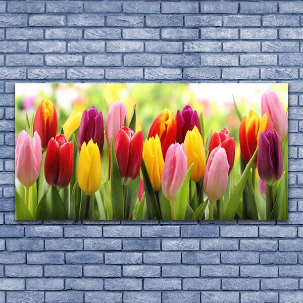 Tablou pe panza canvas Lalele Floral Roz Roșu Galben