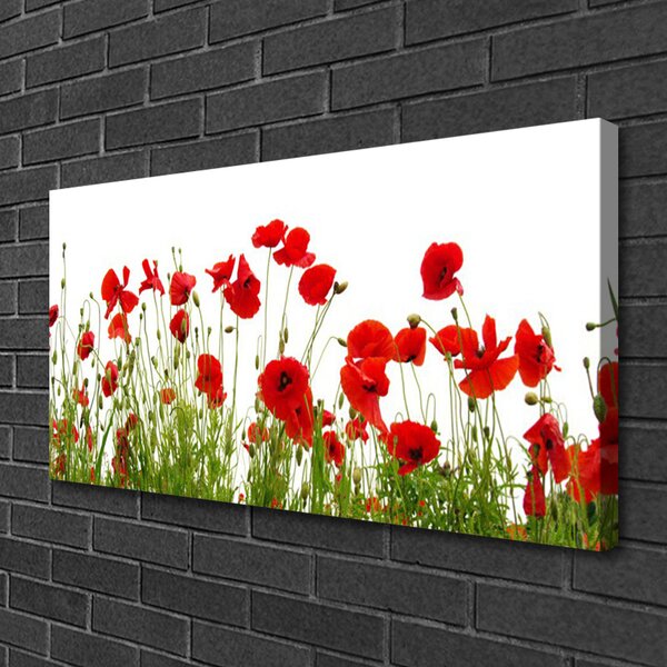 Tablou pe panza canvas Maci Floral Roșu Verde