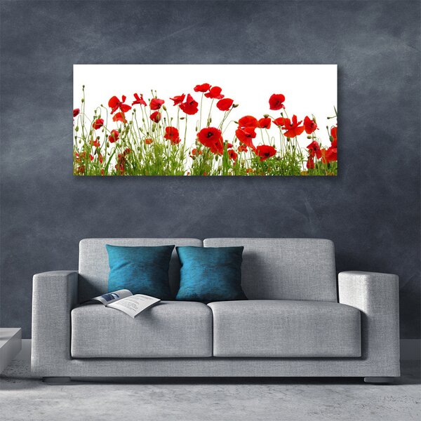 Tablou pe panza canvas Maci Floral Roșu Verde