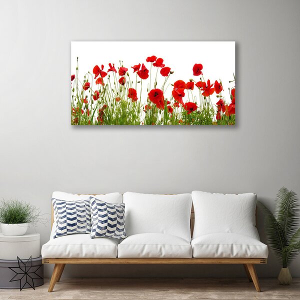 Tablou pe panza canvas Maci Floral Roșu Verde
