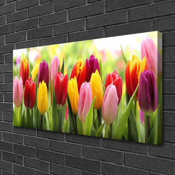 Tablou pe panza canvas Lalele Floral Roz Roșu Galben