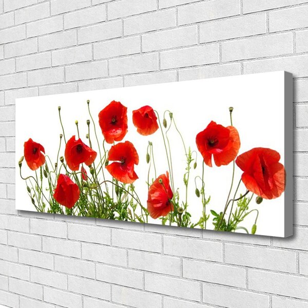 Tablou pe panza canvas Maci Floral Verde Roșu