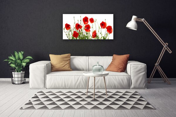 Tablou pe panza canvas Maci Floral Verde Roșu