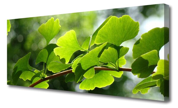 Tablou pe panza canvas Branch Frunze Floral verde maro