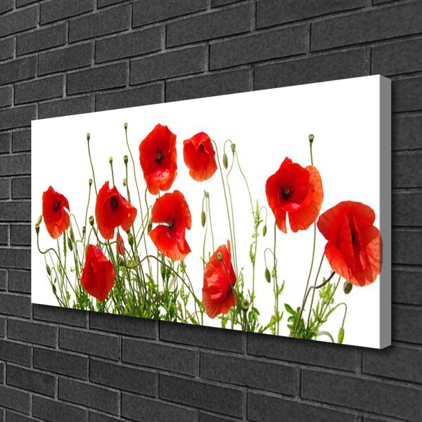 Tablou pe panza canvas Maci Floral Verde Roșu