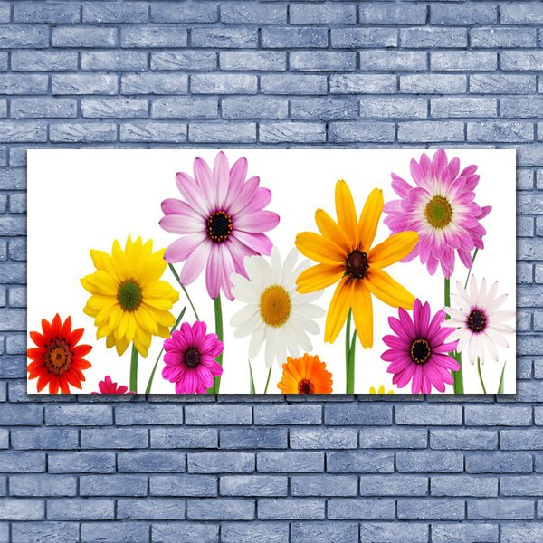 Tablou pe sticla Flori Floral Multi