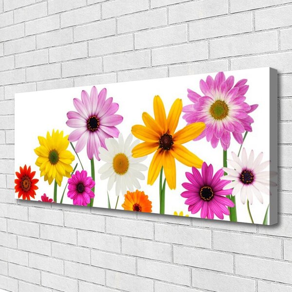 Tablou pe panza canvas Flori Floral Multi